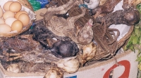 Dried Llama Foetus