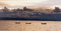 Titicaca Boats