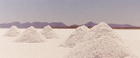 Where Salt Comes From