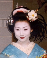 Geisha Hair