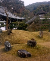 moss garden in Kyoto