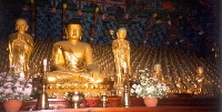 Buddha And Friends