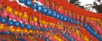 Seoul Lanterns
