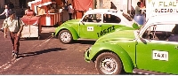 D F- Beetle Taxis