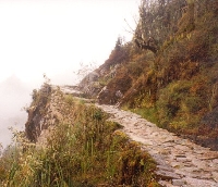 Inca Trail Treacherous