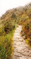 Inca Trail Winding