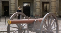 Cannon Guard