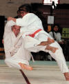 judo action